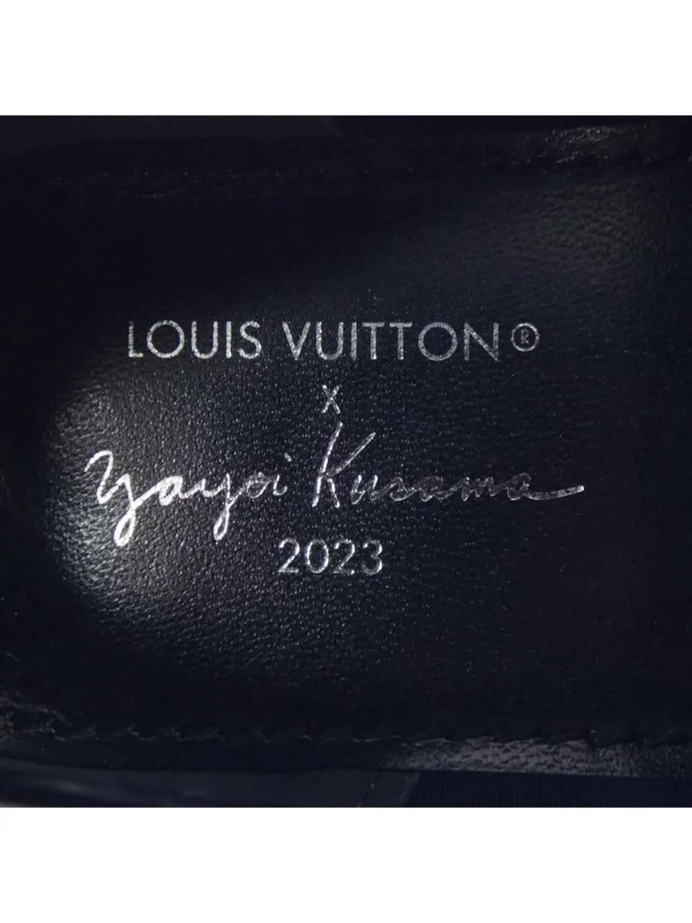 Louis Vuitton Yayoi Kusama LV Yk Academy Line Loafers Shoes